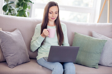 Photo of charming cute young woman dressed turquoise sweater sitting sofa drinking tea looking modern device indoors home room