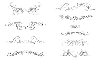 design elements of tendrils of grapes and berries - obrazy, fototapety, plakaty