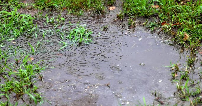 Rain hitting puddle of mud on the ground