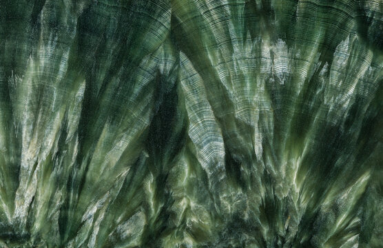 Top view of Seraphinite texture