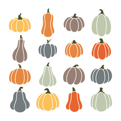 Pumpkins Vector Illustration. Set of Pumpkins of Different  Shapes and Colors