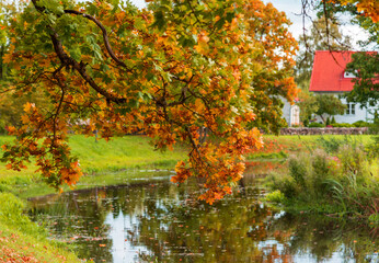 Obraz premium autumn