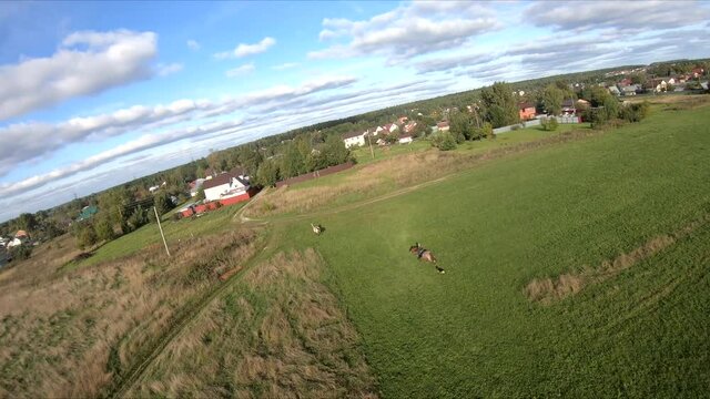 flying on an fpv drone behind a horse, a girl on a horse, in a green field, against the background of a forest, bushes, trees, blue sky, white clouds
