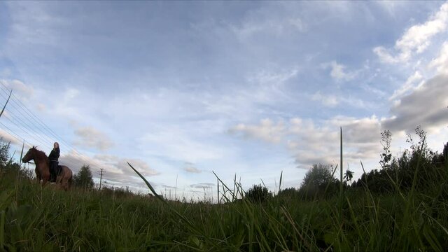 flying on an fpv drone behind a horse, a girl on a horse, in a green field, against the background of a forest, bushes, trees, blue sky, white clouds