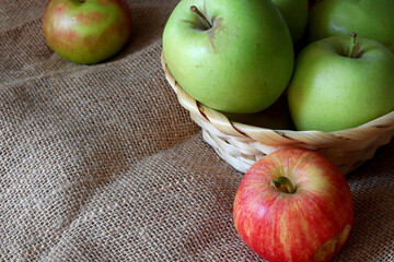 organic and fresh apples in a wicker basket