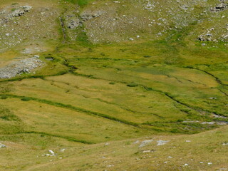 Lac du Lauzanier - Larche 04