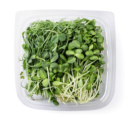 Microgreens in the package on a white background, isolated. Top view