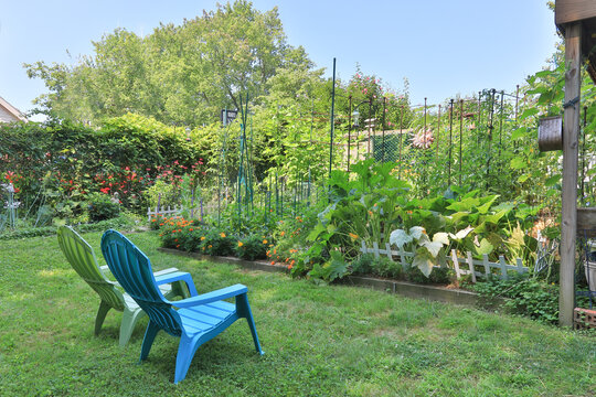 Plastic Chairs In A Green Yard