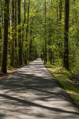 Beautiful greenway with paved path running straight through a wooded area, sunlight and shadows, North Augusta South Carolina, vertical aspect