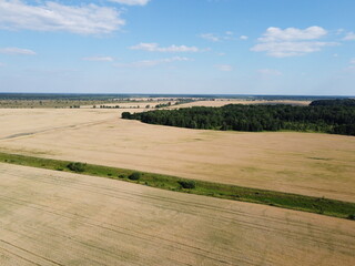Obraz premium Breathtaking top view of agricultural area and cultivated fields in sunny day. Location place of Ukraine, Europe. Drone photography. Concept of agrarian industry.