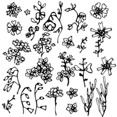 A set of decorative doodle flowers. Sublimation of flowers and leaves. Shadow and silhouette.Black graphic line.Ornaments, strokes and curls.Making gifts, packaging. A mask in a digital design.