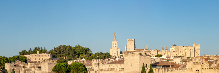 Fototapeta na wymiar Beautiful view on th Avignon medieval city with historical walls and other touristic landmarks, France, Europe
