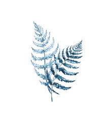 Watercolor fern composition of indigo, isolated on a white background. Ferns. Bracken. Wild forest. Herbs. Leaves. Nature. Hand drawing illustration