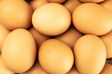 Chicken eggs close-up and background copy space