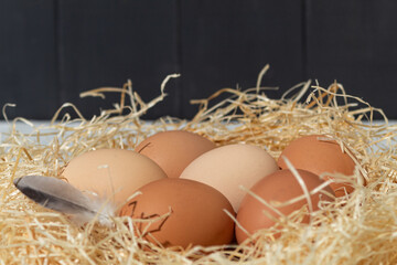 Fresh chicken eggs from a farm in the countryside, close-up