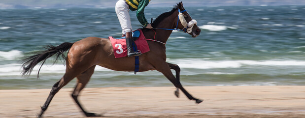 Panning motion blur of race horse galloping on the beach.