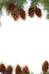 Christmas decoration. Cones and twigs pine tree ( Pseudotsuga menziesii, Douglas fir, Douglas tree, Oregon pine ) on a white background with space for text. Top view, flat lay