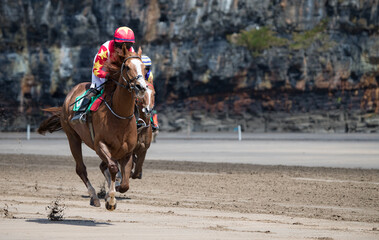 galloping race horse on the beach