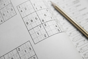 Close-up of a sheet where various sudoku-type hobbies are printed
