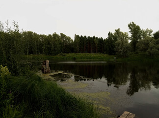 Obraz premium lake in the forest