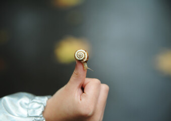 Child holding a little snail in hand outdoors