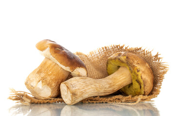Two forest porcini mushrooms on a jute napkin, close-up, isolated on white.