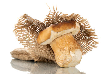 One forest porcini mushroom on a jute napkin, close-up, isolated on white.