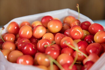yellow and red cherry