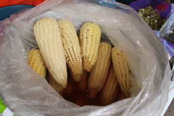 Elotes