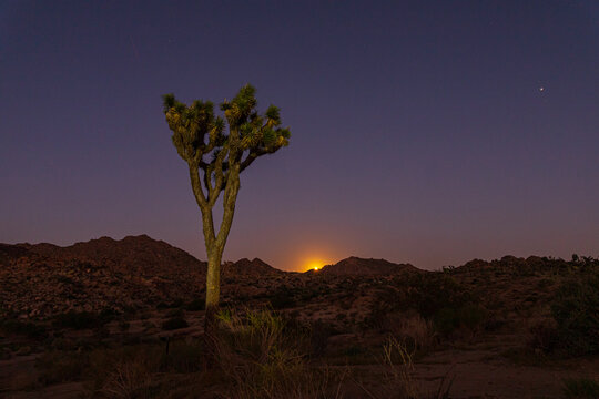 full moon rising in joshua tree national park