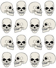 Vector seamless pattern of hand drawn doodle sketch colored human skull isolated on white background