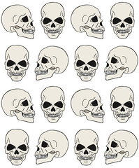 Vector seamless pattern of hand drawn doodle sketch colored human skull isolated on white background