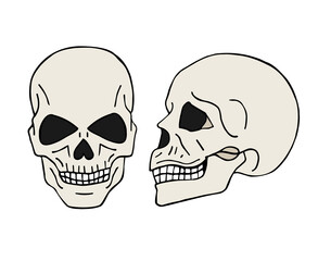 Vector hand drawn doodle sketch colored human skull isolated on white background