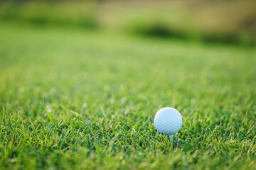 Golf ball on green grass on a golf course. Sports equipment close-up.