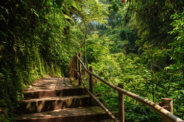 Stairs around green nature