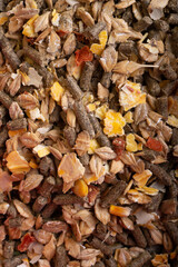 background of special  nutrition muesli  for  horses. feeding and horse care concept. macro. top view
