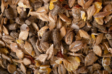 background of basical muesli for  horses. feeding and horse care concept. macro. top view