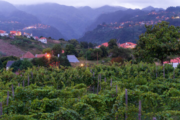 Madeira auf der Hochebene