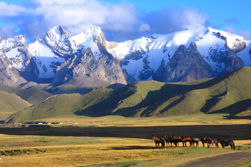 landscape in the mountains