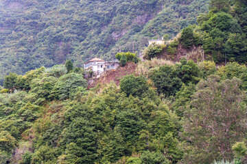 Madeira auf der Hochebene