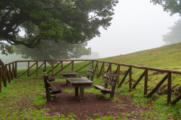 Madeira auf der Hochebene