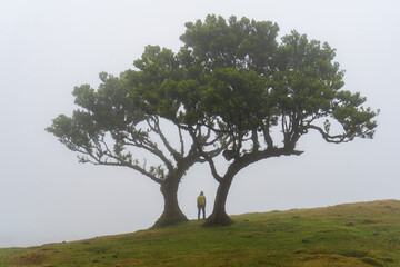 Madeira auf der Hochebene