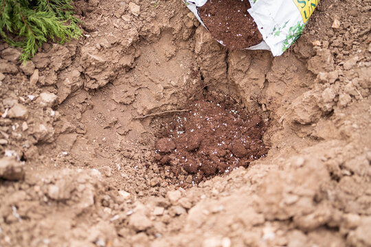 Fertile soil in pit among dry land