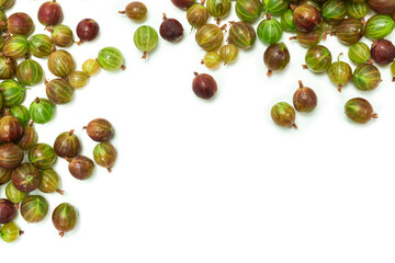 Gooseberry isolated on white background.