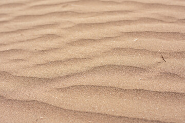 Close up of desert sand