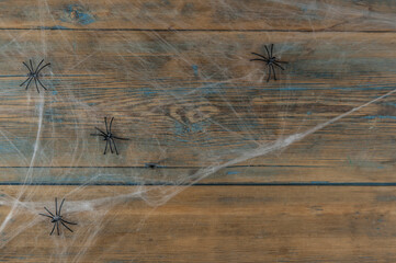 Halloween symbols web and black spiders on wooden background