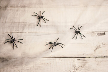Halloween symbols web and black spiders on wooden background