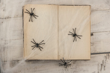 old book a top among web spiders