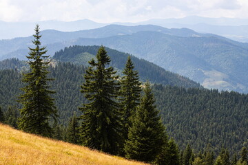 mountain slopes in the Ukrainian Carpathians. mountain tops and forests on a background of blue sky