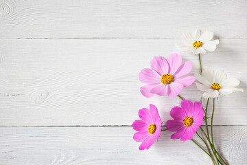 Bouquet of pink and white cosmos flowers on a wooden background. Postcard for congratulations,...